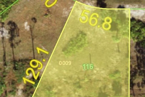 Land in Placida, Florida № 2162709 - photo 2