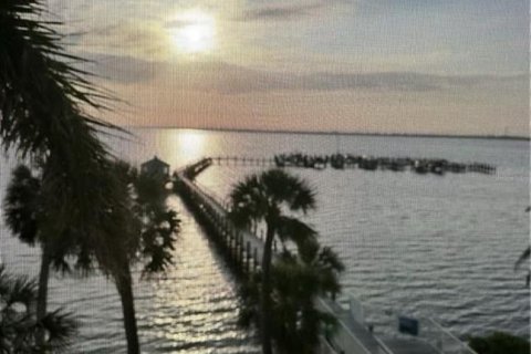 Condo in Punta Gorda, Florida, 2 bedrooms  № 1751499 - photo 23