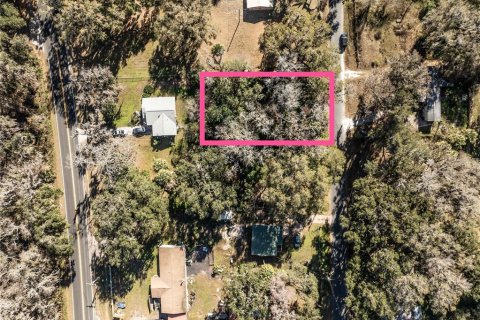Land in Lake Panasoffkee, Florida № 2165441 - photo 4