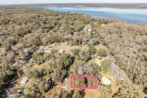 Land in Lake Panasoffkee, Florida № 2165441 - photo 2
