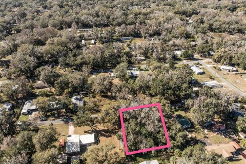 Land in Lake Panasoffkee, Florida № 2165441 - photo 3