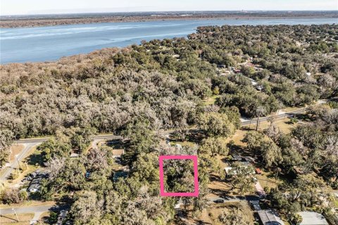Land in Lake Panasoffkee, Florida № 2165441