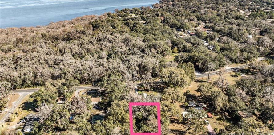 Land in Lake Panasoffkee, Florida № 2165441