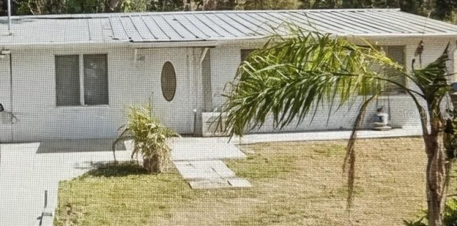 Studio in Kissimmee, Florida № 2218075