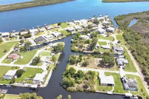 Land in Punta Gorda, Florida № 1647742 - photo 9