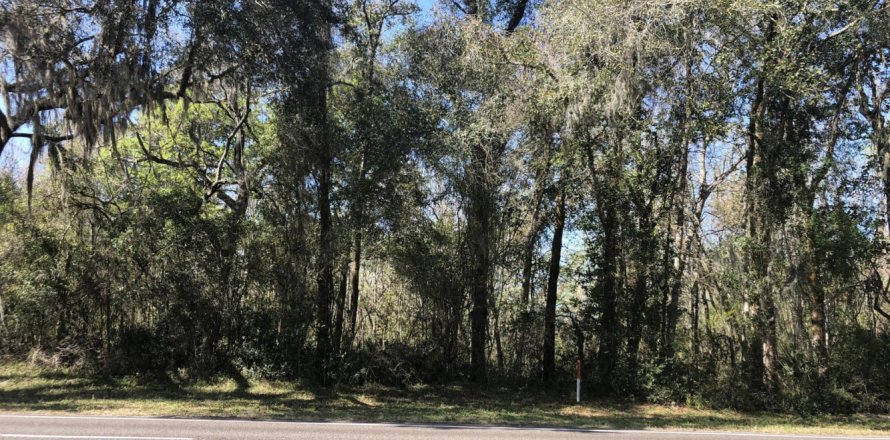 Land in San Mateo, Florida № 773184
