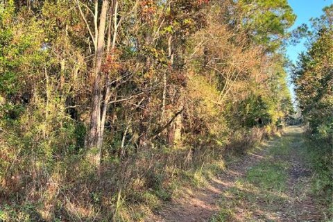 Terreno en venta en DeLand, Florida № 2150963 - foto 3