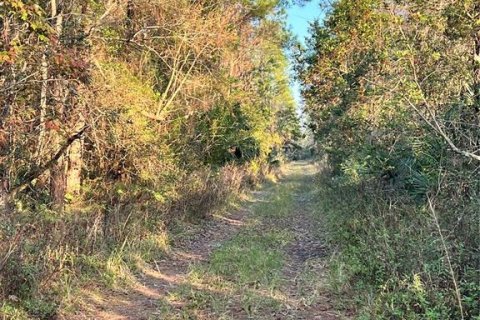 Terreno en venta en DeLand, Florida № 2150963 - foto 2