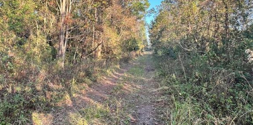 Terreno en DeLand, Florida № 2150963