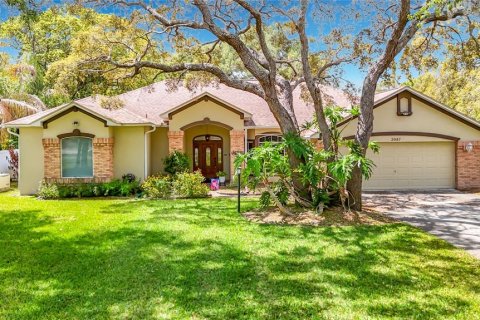 Villa ou maison à Spring Hill, Floride 3 chambres, 242.2 m2 № 2127641