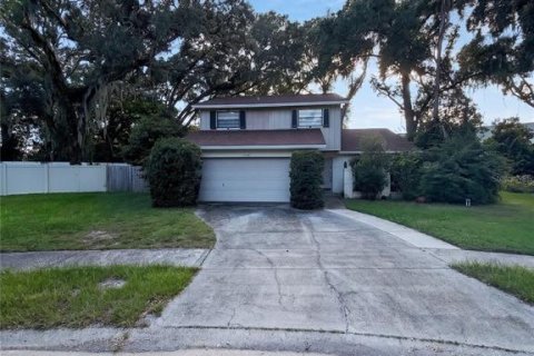 House in Lutz, Florida 4 bedrooms, 184.41 sq.m. № 2419827