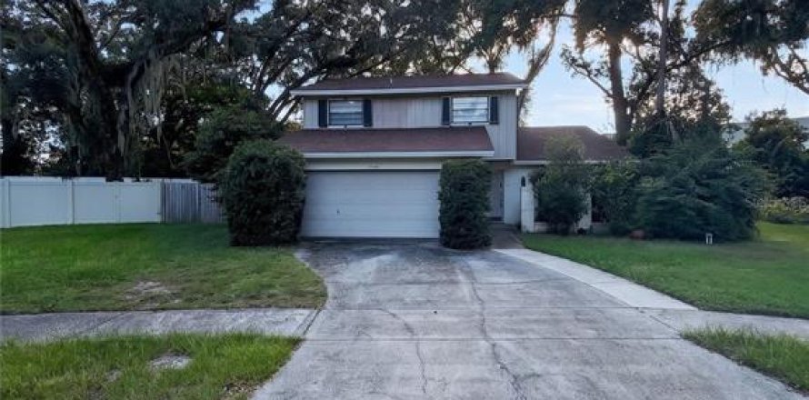 House in Lutz, Florida 4 bedrooms, 184.41 sq.m. № 2419827