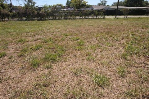 Land in Tampa, Florida № 2205943
