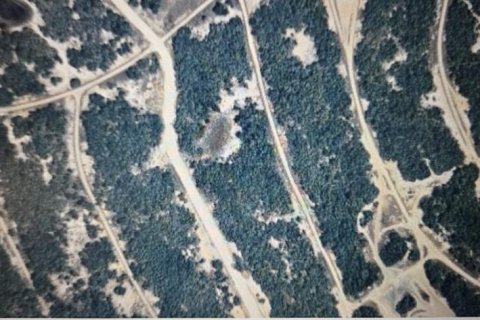 Land in Lake Placid, Florida № 2163026