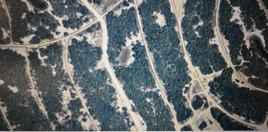 Land in Lake Placid, Florida № 2163026