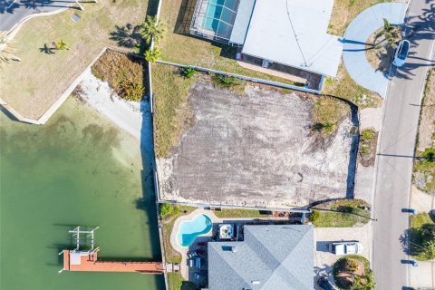 Land in Saint Petersburg, Florida № 1575009 - photo 12