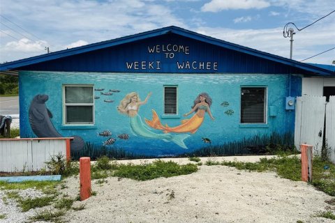 Commercial property in Weeki Wachee, Florida 78.04 sq.m. № 2198342