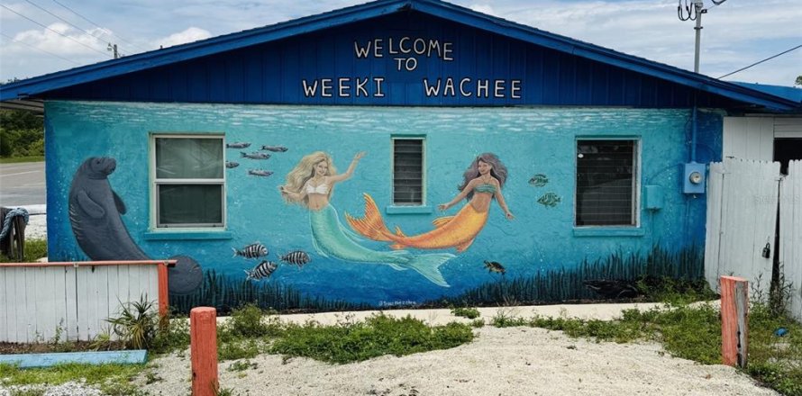 Commercial property in Weeki Wachee, Florida 78.04 sq.m. № 2198342