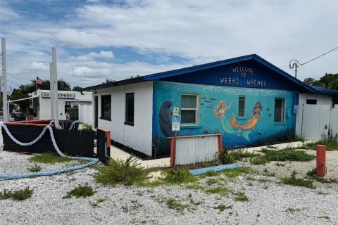 Commercial property in Weeki Wachee, Florida 78.04 sq.m. № 2198342 - photo 2
