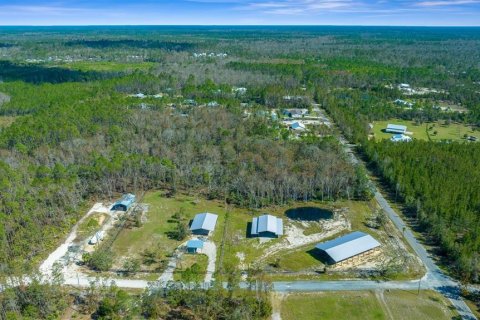 Land in Steinhatchee, Florida № 1412958 - photo 9