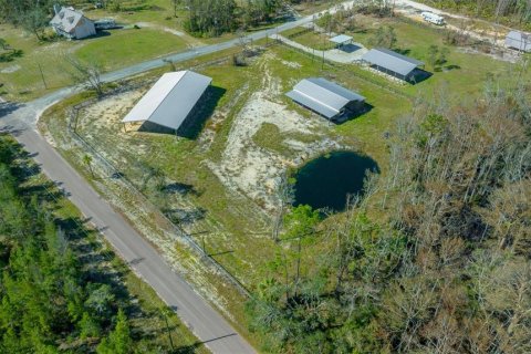 Land in Steinhatchee, Florida № 1412958 - photo 5