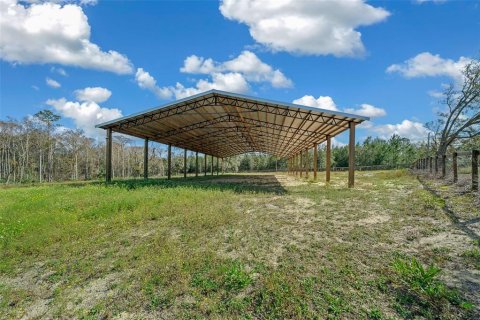 Land in Steinhatchee, Florida № 1412958 - photo 22