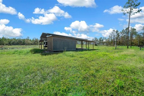 Land in Steinhatchee, Florida № 1412958 - photo 28