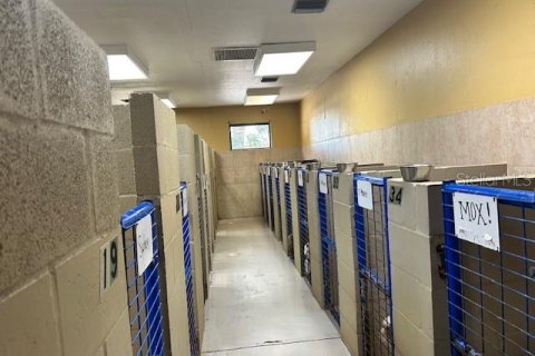 Commercial property in Apopka, Florida 239.69 sq.m. № 2098328 - photo 6