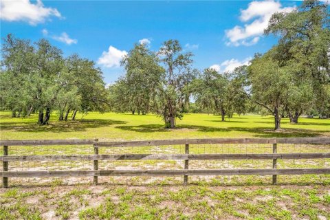 Land in Weeki Wachee, Florida № 1849445 - photo 4