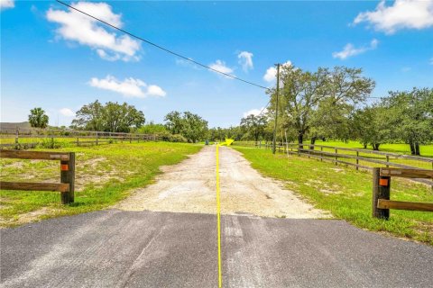 Land in Weeki Wachee, Florida № 1849445 - photo 6