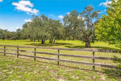 Land in Weeki Wachee, Florida № 1849445 - photo 5