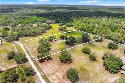 Land in Weeki Wachee, Florida № 1849445 - photo 11