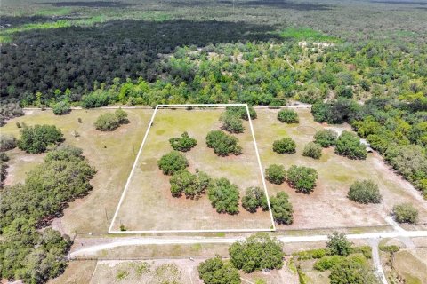 Land in Weeki Wachee, Florida № 1849445 - photo 12