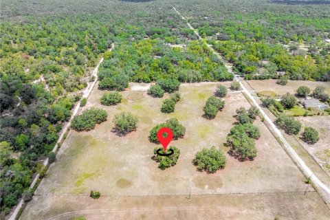 Land in Weeki Wachee, Florida № 1849445 - photo 2