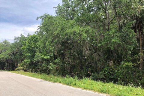 Terreno en venta en Sanford, Florida № 1913858 - foto 3