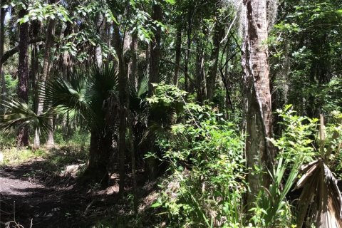 Terreno en venta en Sanford, Florida № 1913858 - foto 9