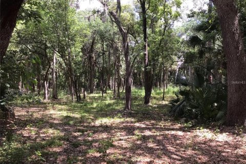 Terreno en venta en Sanford, Florida № 1913858 - foto 8