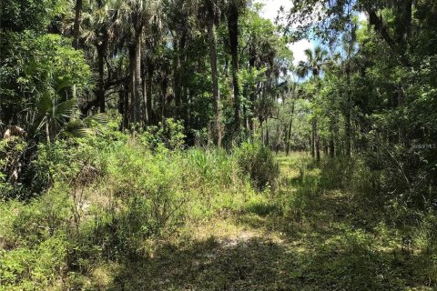 Terreno en venta en Sanford, Florida № 1913858 - foto 12