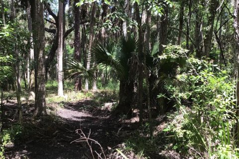 Terreno en venta en Sanford, Florida № 1913858 - foto 11