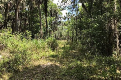 Terreno en venta en Sanford, Florida № 1913858 - foto 13