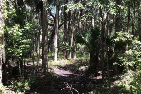 Terreno en venta en Sanford, Florida № 1913858 - foto 10