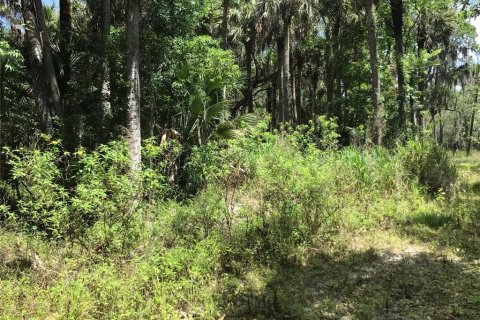 Terreno en venta en Sanford, Florida № 1913858 - foto 14