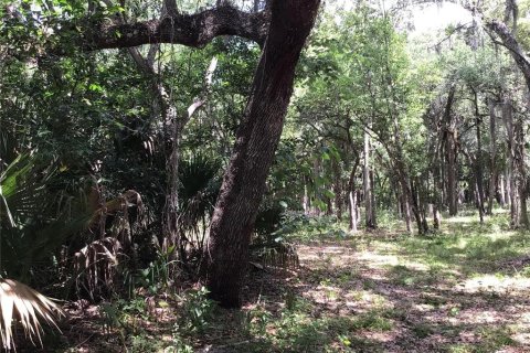 Terreno en venta en Sanford, Florida № 1913858 - foto 7