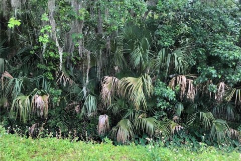 Terreno en venta en Sanford, Florida № 1913858 - foto 5