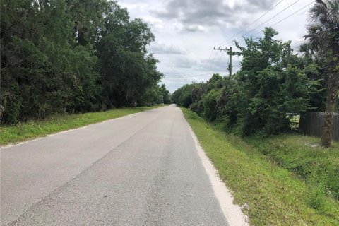 Terreno en venta en Sanford, Florida № 1913858 - foto 2