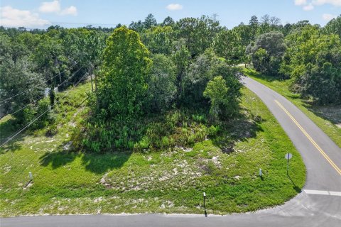 Terrain à vendre à Ocala, Floride № 2225160 - photo 4