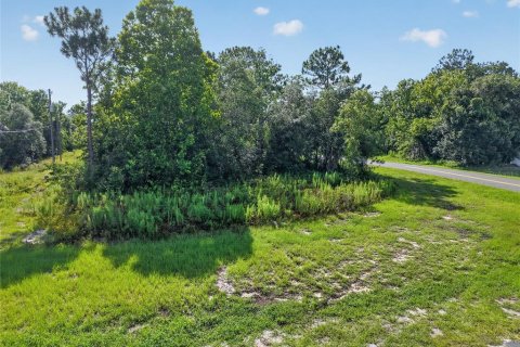 Terrain à vendre à Ocala, Floride № 2225160 - photo 6
