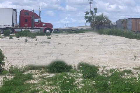 Land in Lakeland, Florida № 2205936 - photo 4