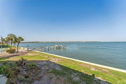 Condo in Saint Petersburg, Florida, 2 bedrooms  № 1644056 - photo 19
