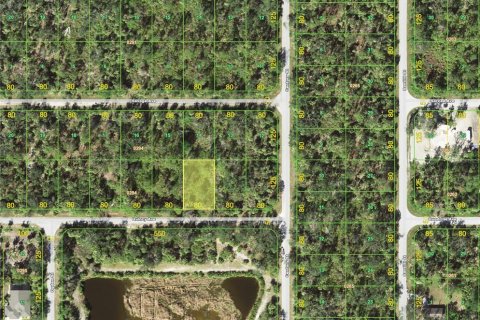 Land in Port Charlotte, Florida № 2258642 - photo 2